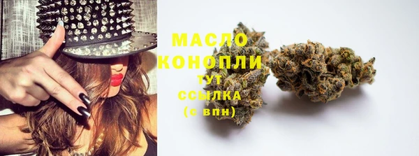 шишки Беломорск
