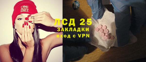 шишки Беломорск