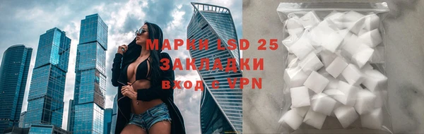 гидра Белоозёрский
