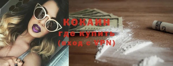 шишки Беломорск