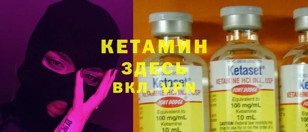 шишки Беломорск