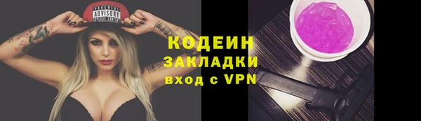 шишки Беломорск
