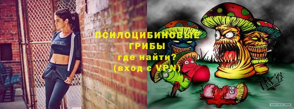 шишки Беломорск