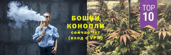 гидра Белоозёрский