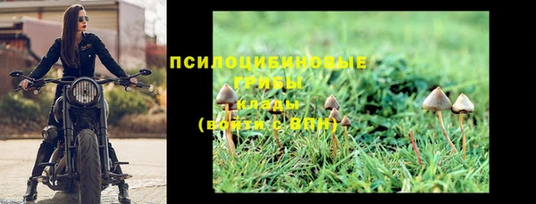 шишки Беломорск