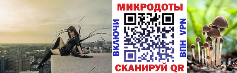 это клад  Воронеж  Псилоцибиновые грибы Psilocybe 
